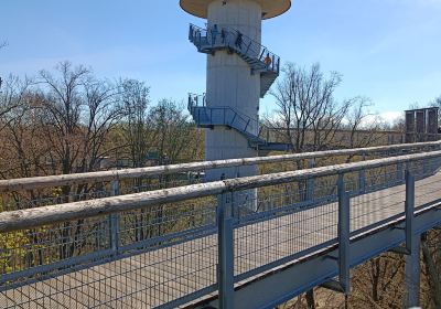 Nationalpark Hainich