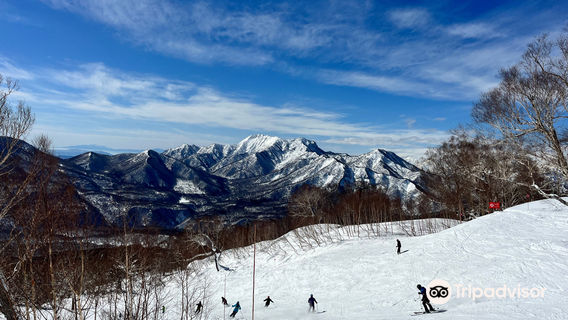 Myoko Suginohara Ski Resort