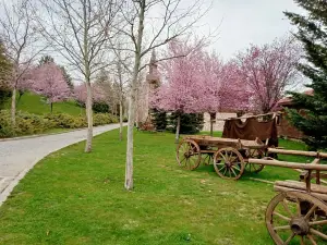 AltInkoy Acik Hava Muzesi