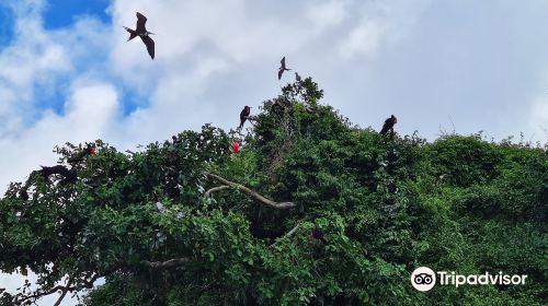 Flora Tours - Excursions Nature - Las Terrenas