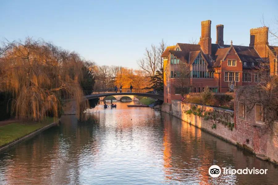 Cambridge Punt Company