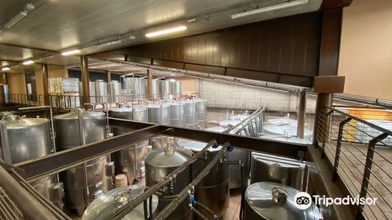 Fattoria Casa Di Terra