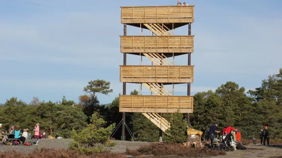 The Bird Game Lookout Tower