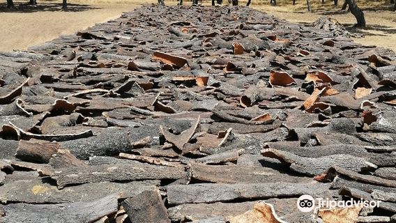 Casa do Montado - Evora Cork Museum
