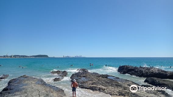 Currumbin Beach