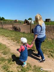 Oak Tree Childrens Farm