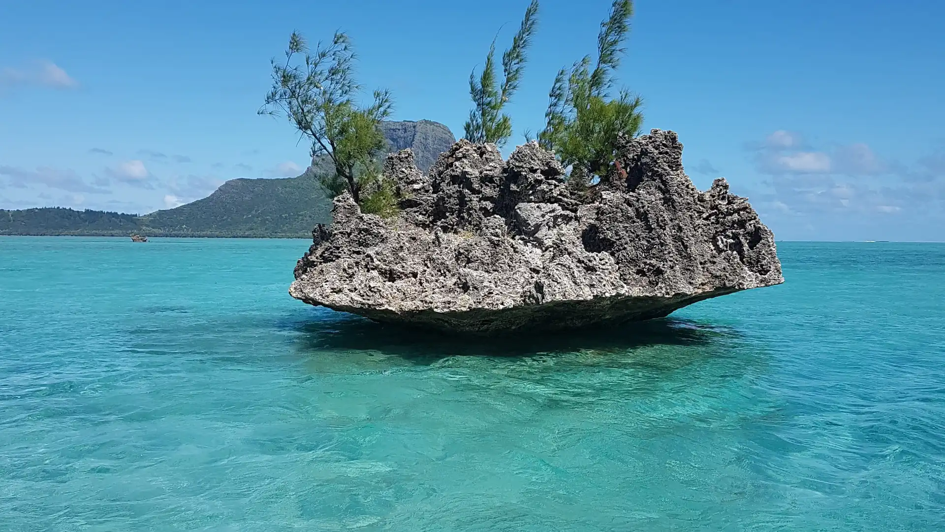 Hotels near DREAM DOLPHIN Mauritius | Nager avec les Dauphins Île Maurice - Dolphin & Ocean Guide - Boats trips - Underwater-photo