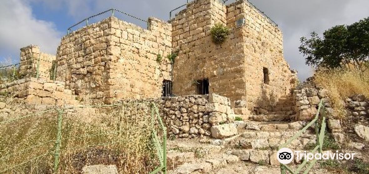 Things to Do in Mevaseret Zion in 2025 Top Attractions, Local Food