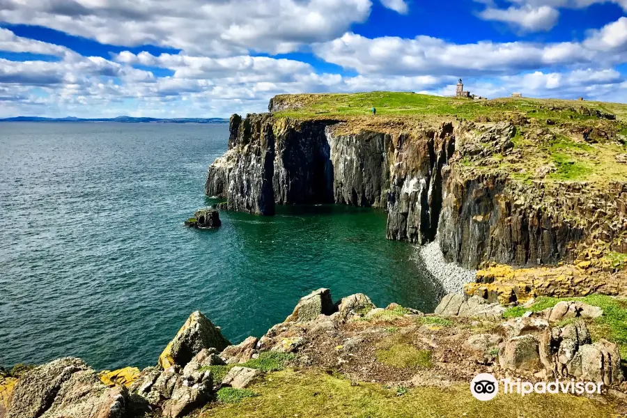 Isle of May National Nature Reserve