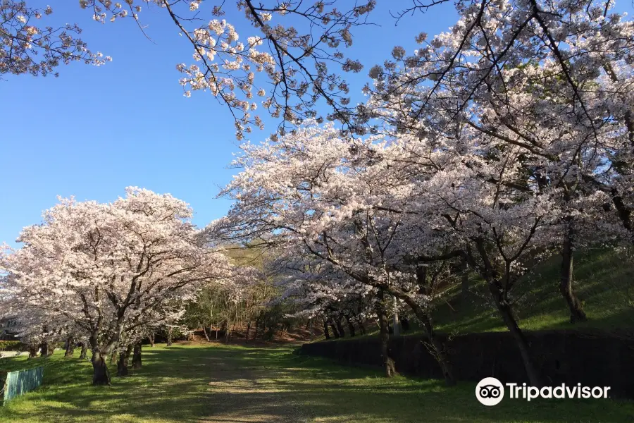 Tama Lake Cycling Road