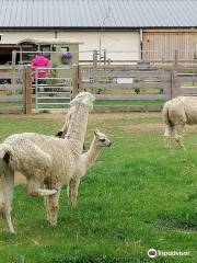 Kinderboerderij De Bollekeshoef