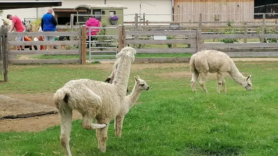 Kinderboerderij De Bollekeshoef