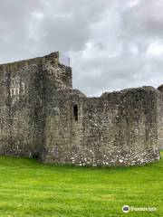 Ballymote Castle