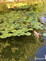 Les Jardins d'eau de Carsac