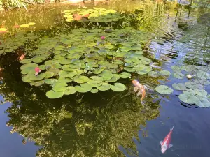 Les Jardins d'eau de Carsac