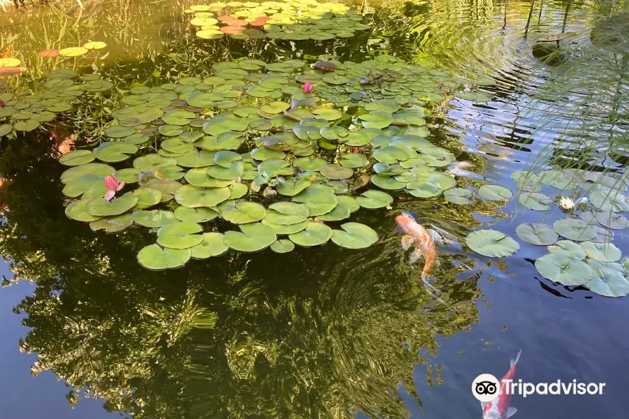 Les Jardins d'Eau