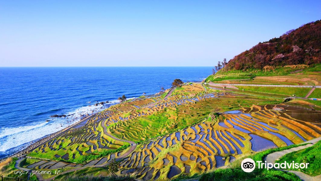 Kumamoto to Wajima Flights