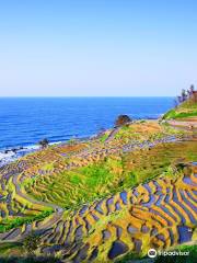 Shiroyone Senmaida Rice Terraces