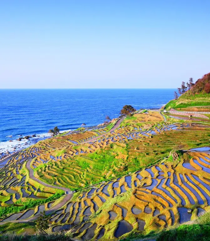 Wajima (Luân Đảo thị)