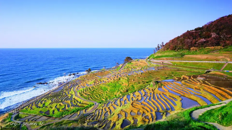 1_시로요네센마이다