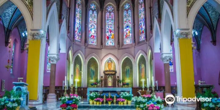 聖伯多祿聖殿主教座堂