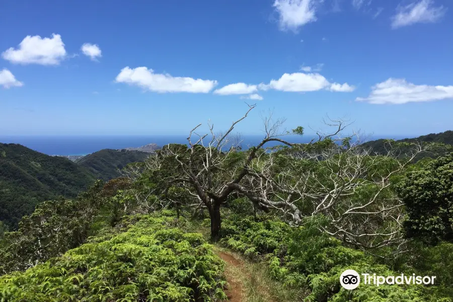 Ka’au Crater Hike