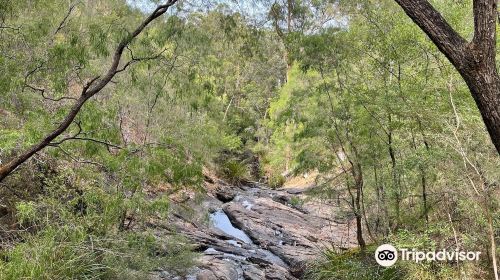 Beedelup National Park