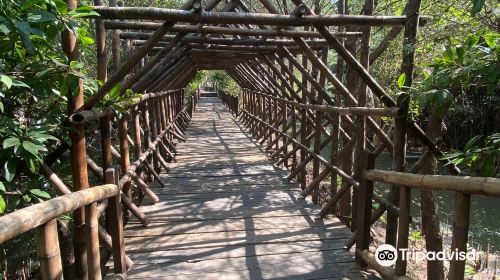 Mangrove Wonorejo Ecotourism