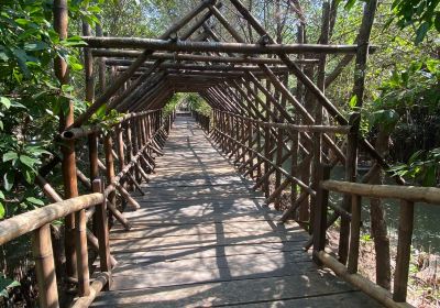 Mangrove Wonorejo Ecotourism