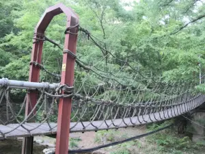 Tonggosan Recreational Forest