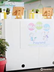 MajestKids Playland Kids Birthday Party-Indoor Playground