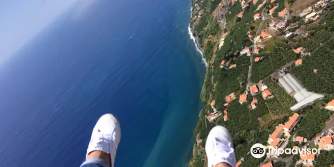 Madeira Paragliding