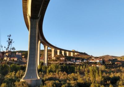 Peso Da Regua