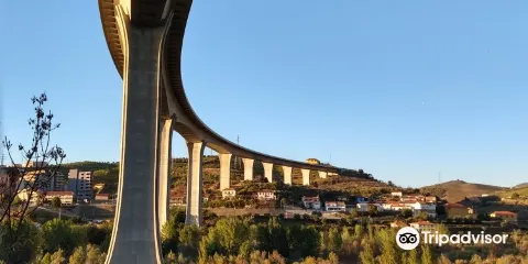 Ponte Miguel Torga