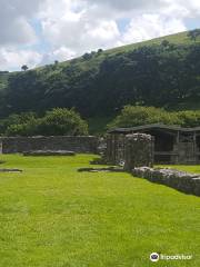 Abbaye de Strata Florida