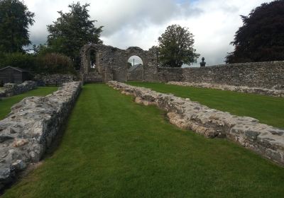 Abbaye de Strata Florida