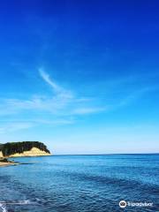 Calvert Cliffs State Park