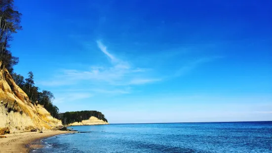 Calvert Cliffs State Park