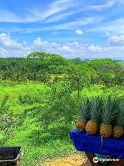 Selangor Fruits Valley