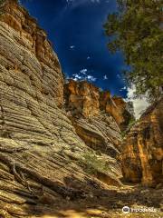 Lick Wash Slot Canyon