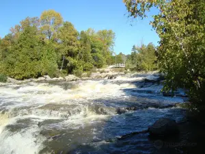 parc provincial Sauble Falls