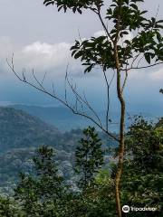 Gunung Pulai (Mount Pulai)