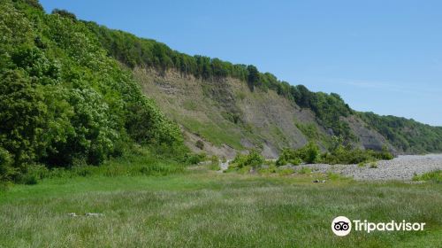 Porthkerry Country Park