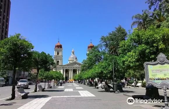 聖米格爾-德圖庫曼