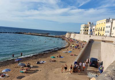 Spiaggia della Purità