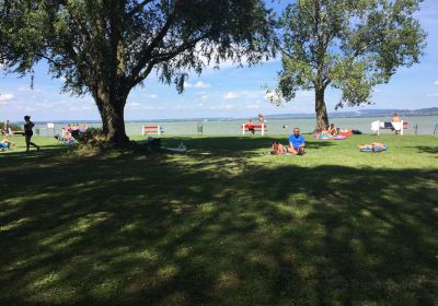 Balatonbereny