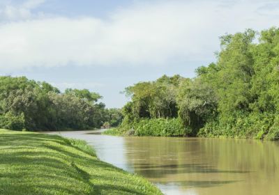 San Jerónimo