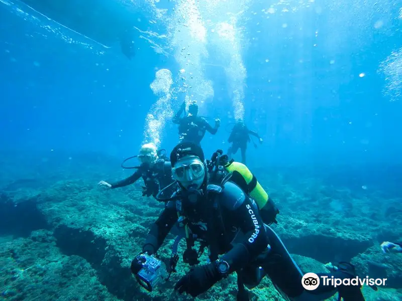 Volcano Dive Center