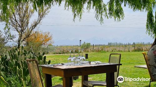 Bodega La Azul