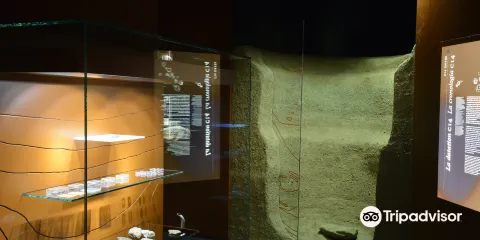 Area Megalitica di Saint-Martin-de-Corléans